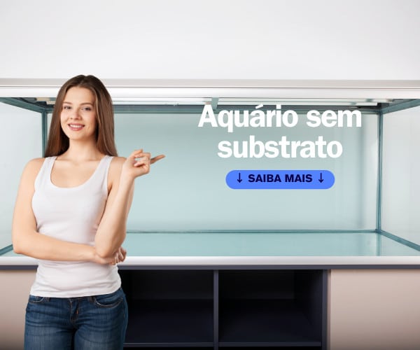 Aquário sem substrato