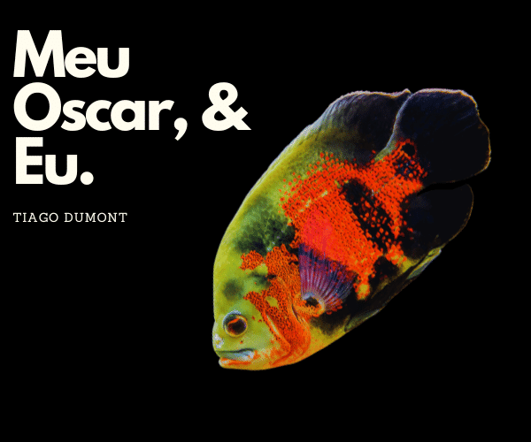 peixe oscar